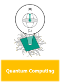 Division Quantum Computing