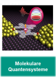 Abteilung Quanten-Molekülsysteme