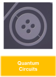 Division Quantum Circuits