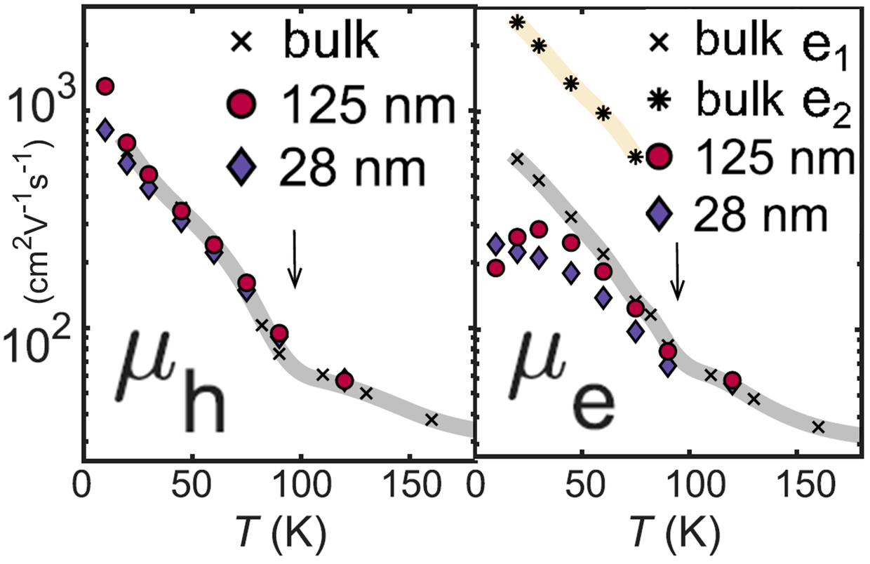 Concept of ferrielectricity and candidate material BaFe 2 Se 3 . a